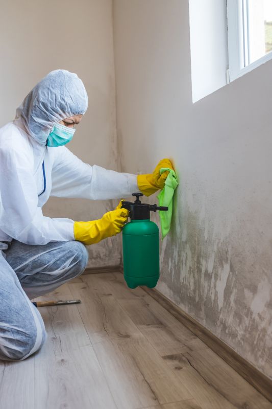Mold and Mildew Removal