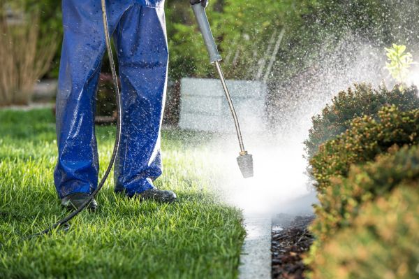Cost of Curb Cleaning in Cedar Rapids