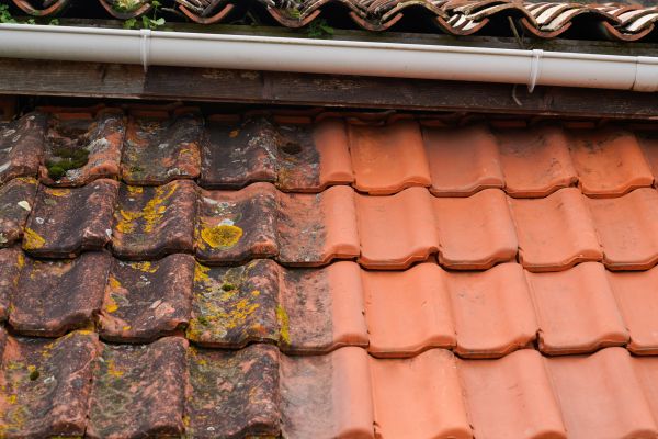Industrial Roof Cleaning in Cedar Rapids